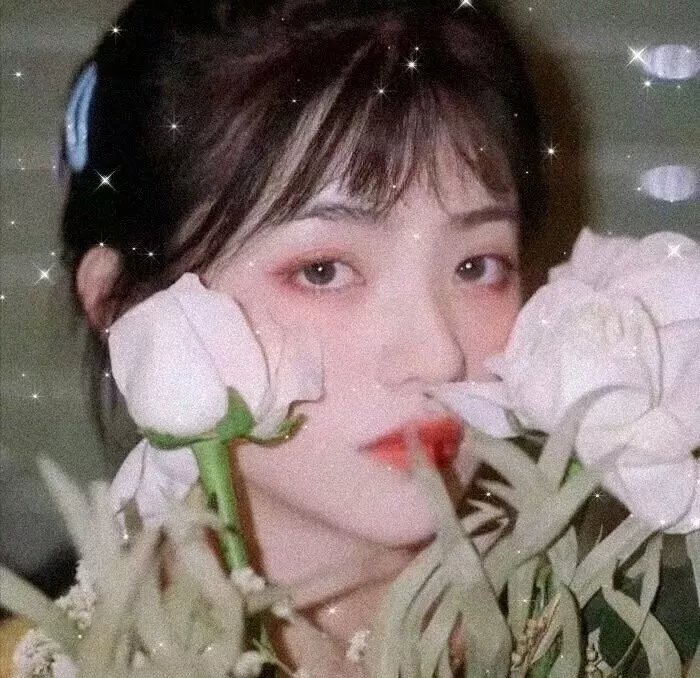 百合绽放
